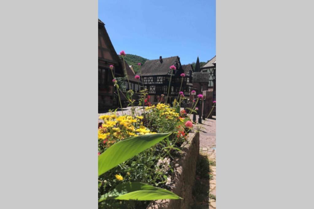 Apartmán Coeur Alsace Colmar Exteriér fotografie