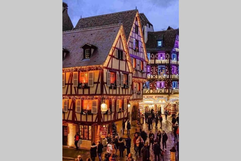 Apartmán Coeur Alsace Colmar Exteriér fotografie