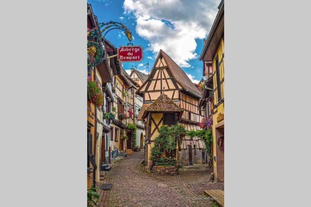 Apartmán Coeur Alsace Colmar Exteriér fotografie