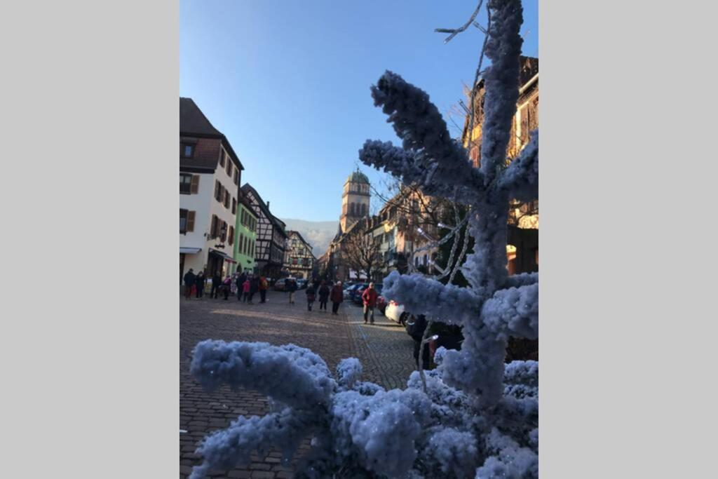 Apartmán Coeur Alsace Colmar Exteriér fotografie