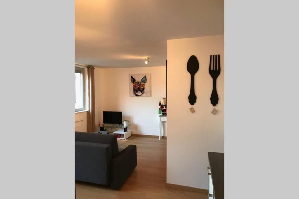 Apartmán Coeur Alsace Colmar Exteriér fotografie